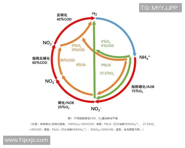 上海排球队运营模式创新探索与发展路径分析 上海排球队运营模式创新探索与发展路径分析