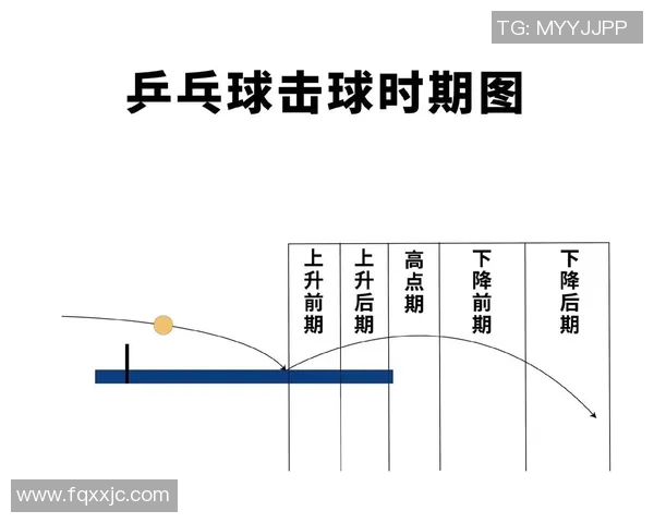 科学乒乓球训练:提升速度的有效方法与技巧分享 科学乒乓球训练:提升速度的有效方法与技巧分享