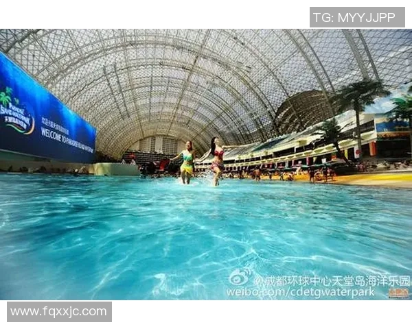 重磅专题：成都飞盘队的反击革新_1